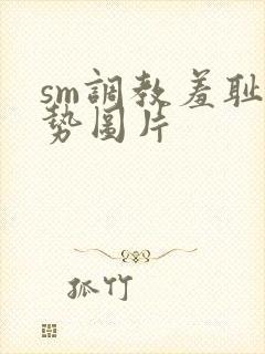 sm调教羞耻姿势图片