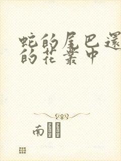 蛇的尾巴还在我的花丛中