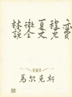 林微夏程亦风小说全文免费