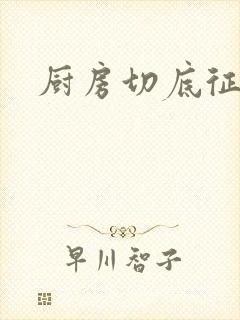 厨房切底征服岳