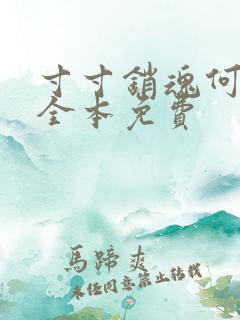 寸寸销魂何生祥全本免费