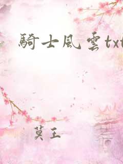 骑士风云txt