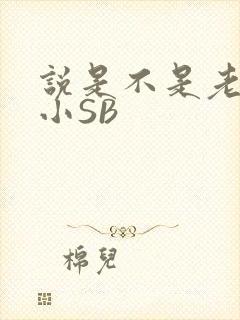 说是不是老公的小SB