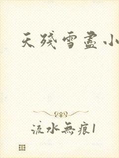 天残雪尽小说