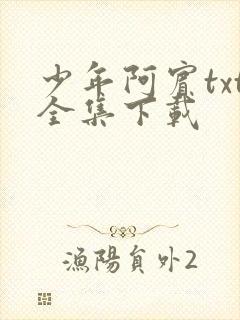 少年阿宾txt全集下载