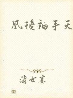 凰后袖手天下