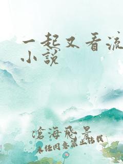 一起又看流星雨小说