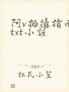 阿v拍摄指南说txt小说
