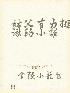 姑父有力挺送徐湫的小说