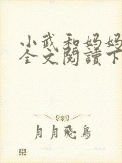 小武和妈妈续集全文阅读下载