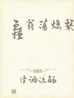 色翁荡熄系列借种