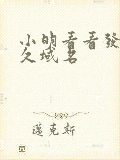 小明看看发布永久域名