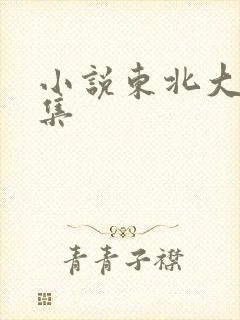 小说东北大炕全集