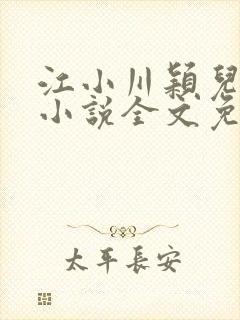 江小川颖儿穿越小说全文免费阅读