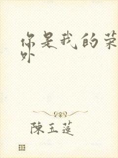 你是我的荣耀番外