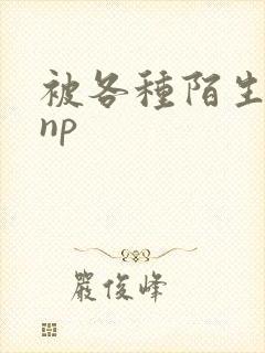 被各种陌生人 np