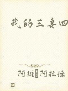 我的三妻四妾