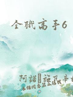 全职高手6