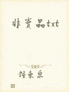 非卖品txt