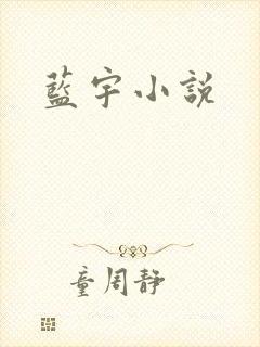 蓝宇小说