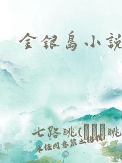 金银岛小说