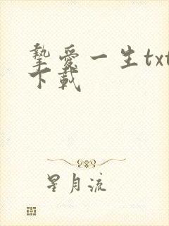 挚爱一生txt下载