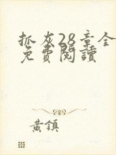 抓灰28章全部免费阅读