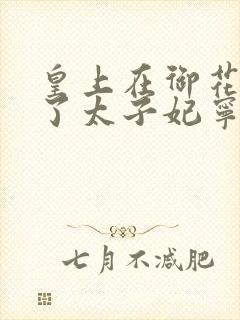 皇上在御花园C了太子妃宁儿