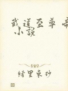 武道至尊 帝临 小说