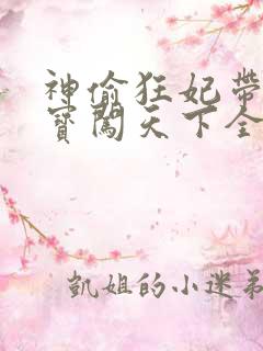 神偷狂妃带着宝宝闯天下全文免费阅读