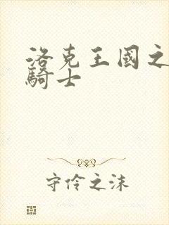 洛克王国之圣龙骑士