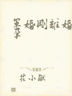 军婚刚离婚就怀孕