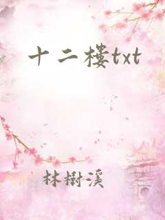 十二楼txt