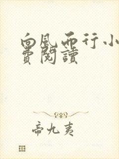 向风而行小说免费阅读