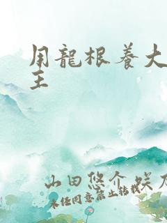 用龙根养大的公主