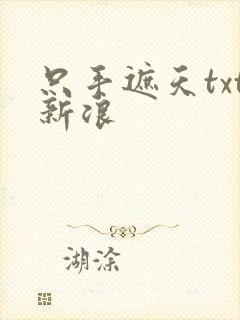 只手遮天txt新浪