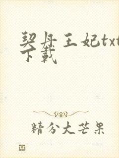 契丹王妃txt下载