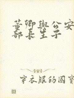 董卿与公安部副部长生子