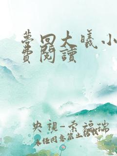 梦回大曦小说免费阅读