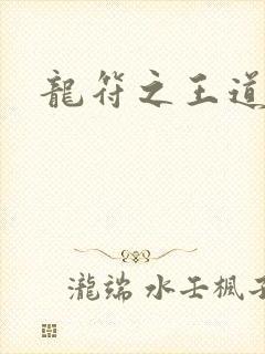 龙符之王道天下