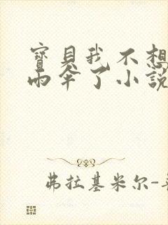 宝贝我不想带小雨伞了小说