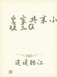 皇家共享小公主暖玉Q