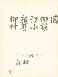 柳颜汐柳国安是什么小说