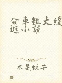 公车粗大缓缓挤进小说