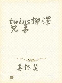 twins柳泽兄弟