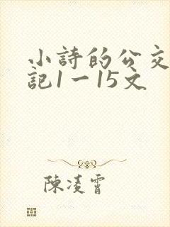 小诗的公交车日记1一15文