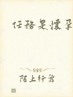 任务是怀孕系统