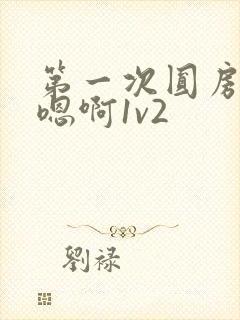 第一次圆房～h嗯啊1v2