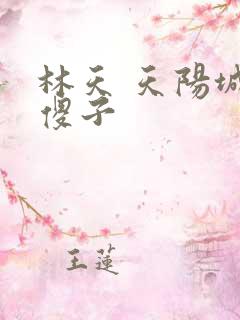 林天 天阳城 傻子