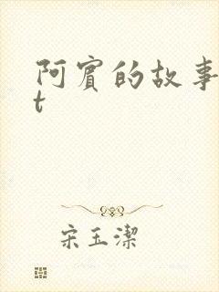 阿宾的故事txt